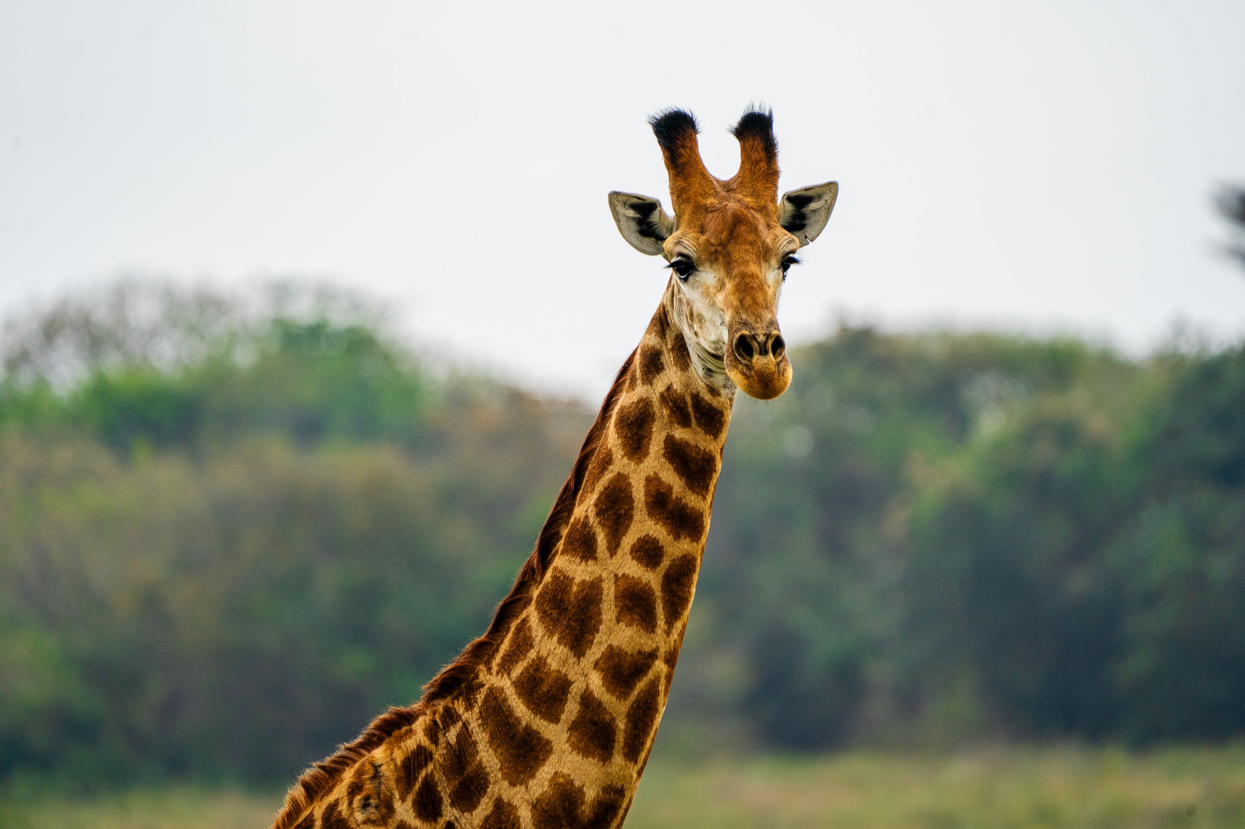 20230924 130616 Fotobuch Südafrika 03904